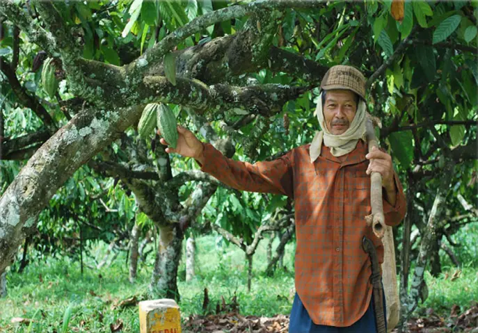Sikambaji Agriculture Farm